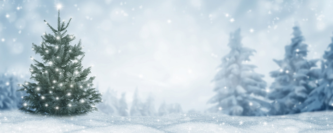 christmas tree in idyllic winter landscape, beautiful blurred snowy xmas background with copy space
