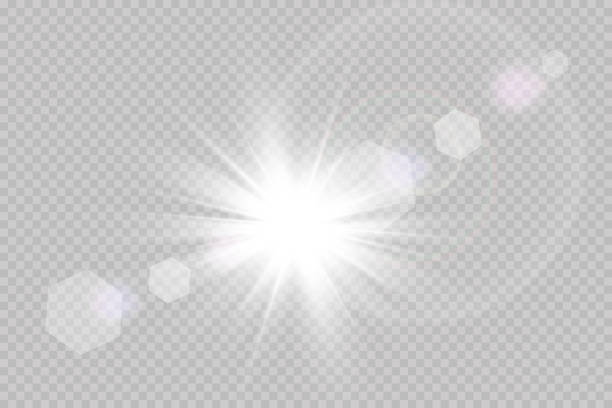 ilustraciones, imágenes clip art, dibujos animados e iconos de stock de vector transparente luz solar efecto de luz de destello de lente especial. - lens flare
