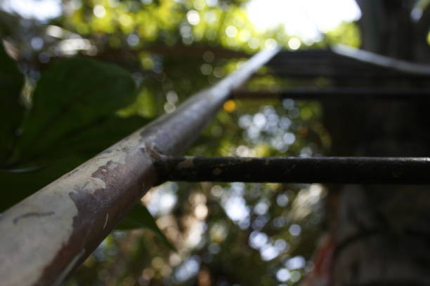 a ladder leaned against the tree behind a garden fence with spear top steel