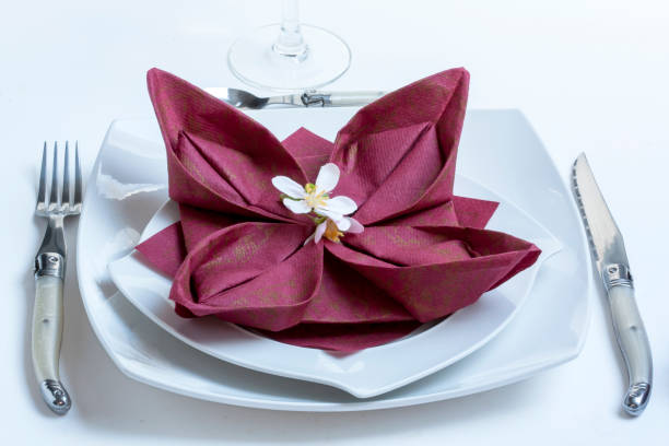 Paper towel folding in lotus flower on white plate