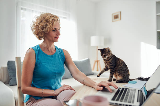 istock Woman working from home on a laptop / notebook with cat pet with her. 1275800831