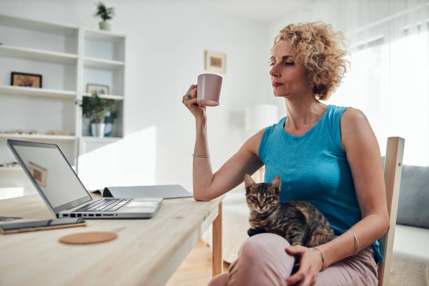istock Woman working from home on a laptop / notebook with cat pet with her. 1275800847