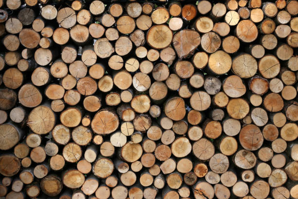 istock Close up wooden stacked sawn logs for background or abstraction 1275802012