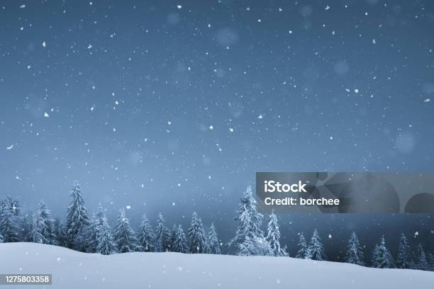 Snowfall Stock Photo - Download Image Now - Snow, Backgrounds, Winter -  iStock