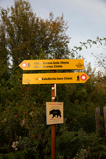 TARA Mountain, Serbia - September 16, 2020: Sign post depicting hiking trails and Bear encounter warning in national park Tara, in Serbia, Europe
