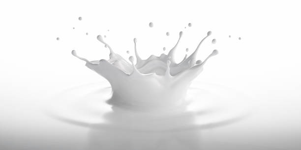 Milk splash Isolated Milk Crown Splash on white Background splash crown stock pictures, royalty-free photos & images