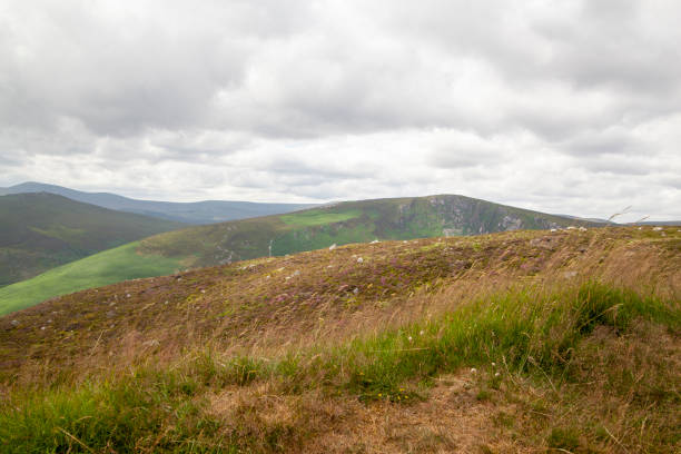 istock Wicklow Mountains National Park in Ireland 1275807535