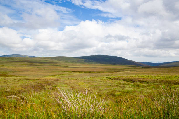 istock Wicklow Mountains National Park in Ireland 1275808748