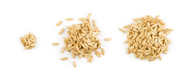 istock Dry Cantaloup Melon or Muskmelon Seeds Isolated 1275809009