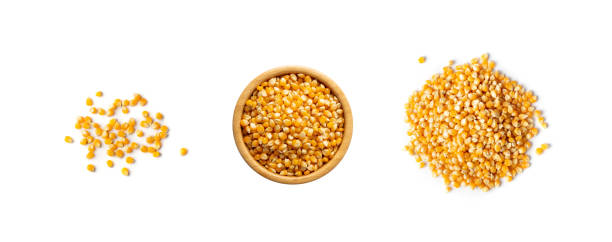 istock Heap of Raw Popcorn Grains Isolated on White Background 1275809124