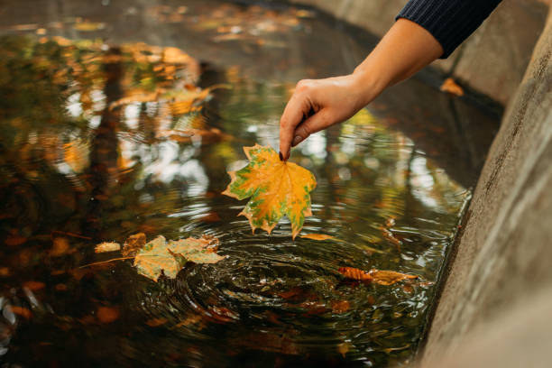 istock Autumn background, Fall its coming, Hello autumn, Things to come, Beautiful fall. Female Hand holds maple yellow leaf on the background water in the fountain 1275812853