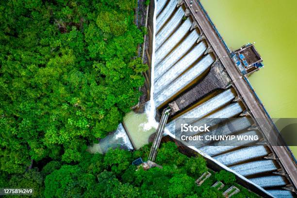 Draining Water From The Kowloon Reservoir At Kam Shan Country Park Stock Photo - Download Image Now