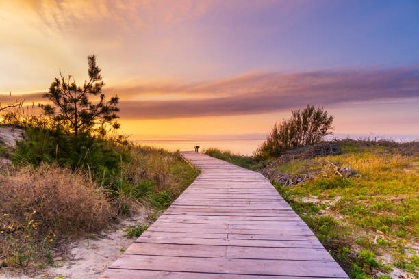 istock Wooden path leading to the sea. 1275817116