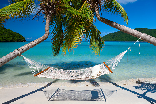 hammock in-between palm trees on a tropical beach in the Caribbean, Maho Bay, St. John