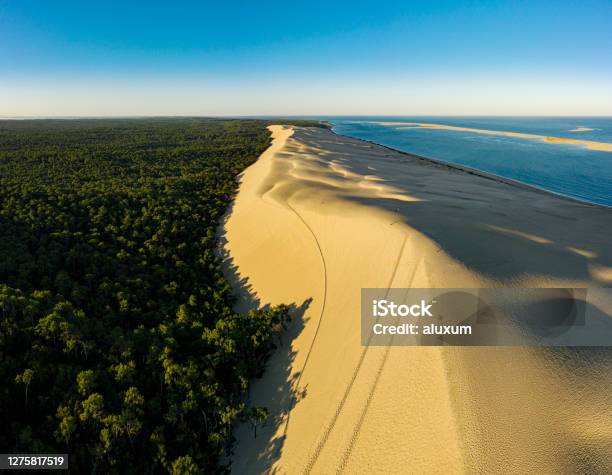 Dune Du Pilat At Sunrise Pylasurmer Arcachon France Stock Photo - Download Image Now