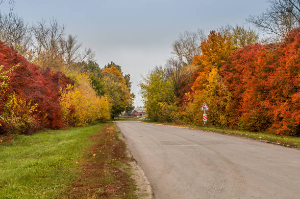 istock Road with a railway crossing sign surrounded by colorful fall trees. 1275818861