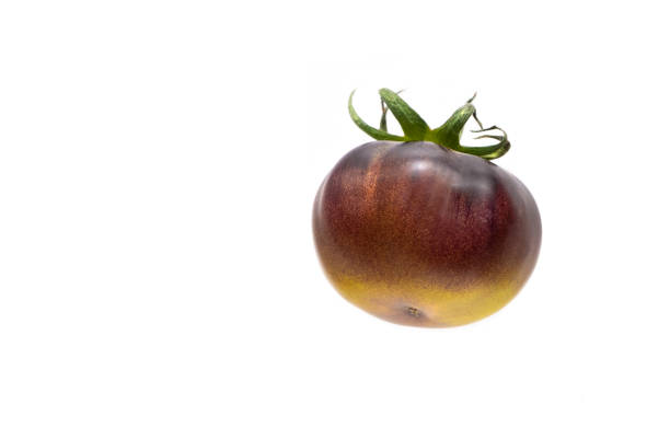 Black tomato, isolated object. Tomato variety \