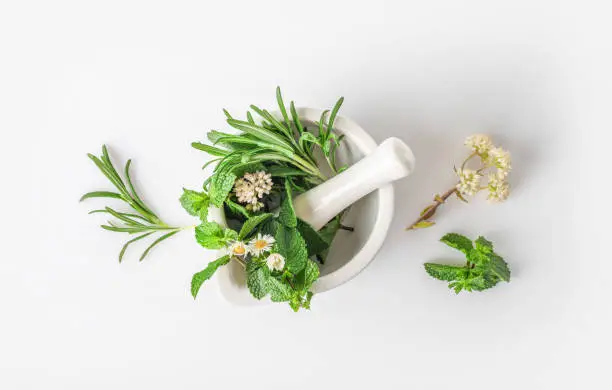 Medicinal herbs in mortar with pestle isolated on white background. Top view. Herbal medicine concept.