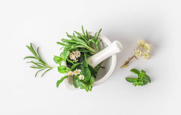 концепция травяной и альтернативной медицины - alternative medicine mortar and pestle herbal medicine herb стоковые фото и изображения