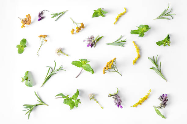 istock Flat lay of various medicinal herbs 1275820817