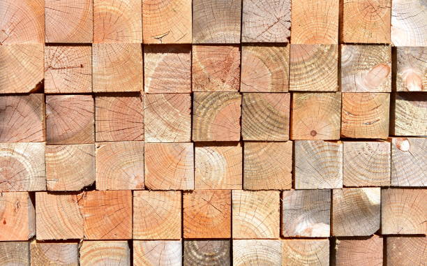 istock Pine tree cut wood background. Wood texture with sunlight. 1275820984