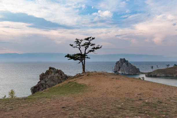 istock A lonely tree on a sacred cape Burkhan at sunset. Olkhon Island, Baikal lake. 1275822017
