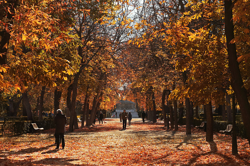 Madrid, Spain; November 28 2017: Tree walk in the Retiro Park with people