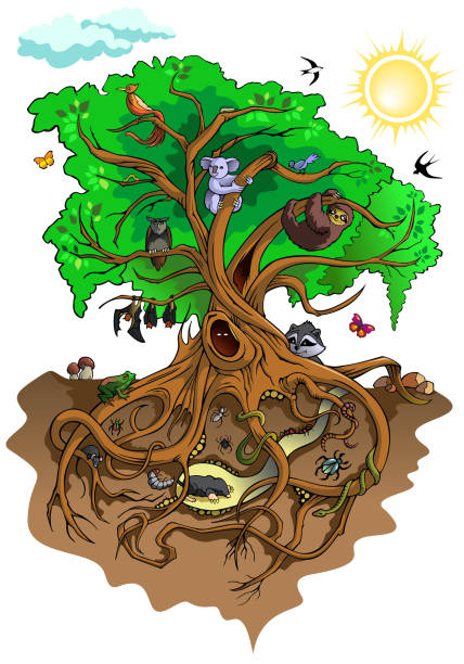 ilustraciones, imágenes clip art, dibujos animados e iconos de stock de habitantes del árbol - fungus roots