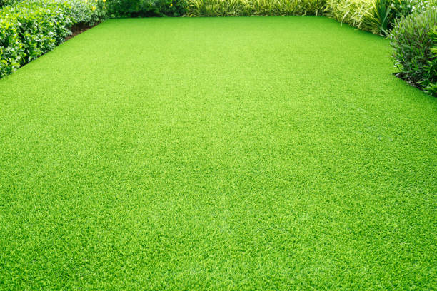 istock Green grass texture background Top view of bright grass garden Idea concept 1275826539
