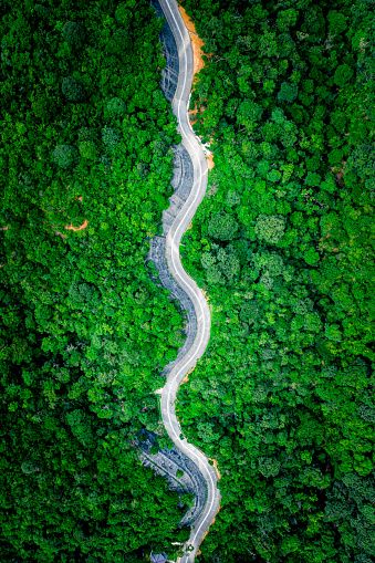 Aerial top view of country road in green summer forest. Rural landscape in Hong Kong