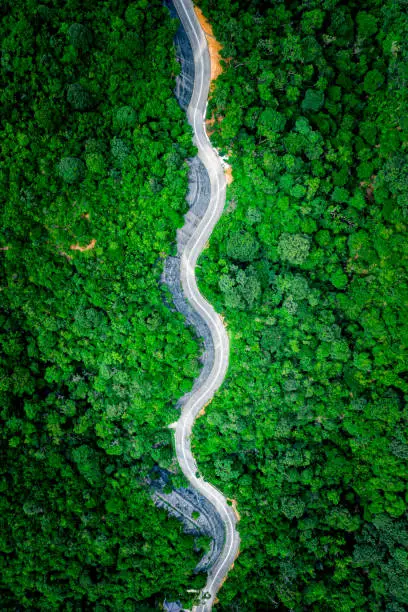 Photo of Aerial top view of country road in green summer forest. Rural landscape in Hong Kong