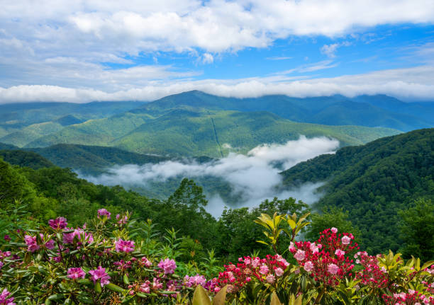 istock Summer mountain scenery in North Carolina. 1275828992