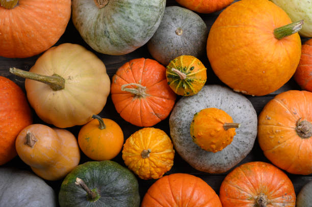 istock Autumn harvest colorful squashes and pumpkins in different varieties. 1275829180