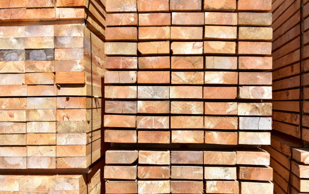 istock Pine tree cut wood background. Wood texture with sunlight. 1275829344
