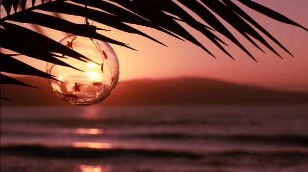 Merry Christmas and Happy New Year greeting card. Christmas decorations glass ball during sunset on palm twig over the sea. Travel to warm countries for New Year holidays concept. Banner, copy space feliz navidad y feliz año nuevo tarjeta de felicitación. decoraciones de navidad bola de cristal durante la puesta del sol en la ramita de palma sobre el mar. viaje a países cálidos para el concepto de vacaciones de año nuevo. banner, copiar espacio