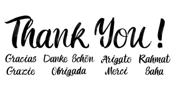 Vector illustration of Set of grateful brush paint hand drawn lettering on white background. Thank you, Gracias, Grazie, Danke Schon, Arigato, Rahmat, Obrigada, Merci, Saha design templates for greeting cards, posters