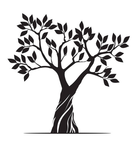 ilustrações de stock, clip art, desenhos animados e ícones de shape of black tree. vector outline illustration. plant in garden. - dried apple