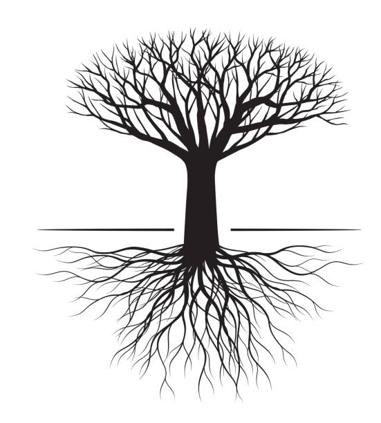 istock Shape of black Tree and Roots. Vector outline Illustration. Plant in Garden. 1275830981