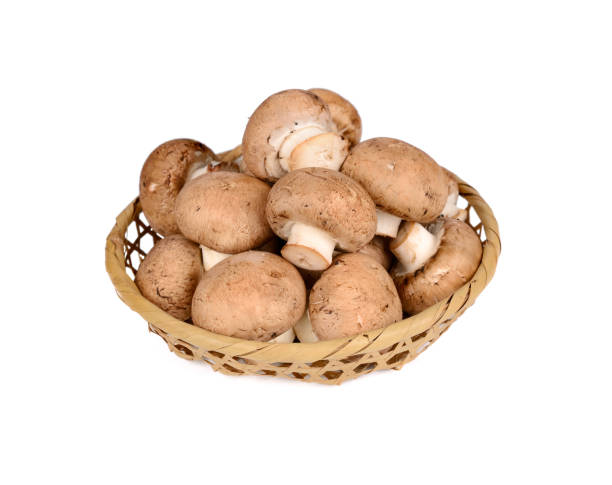 istock fresh mushroom mushroom in bamboo basket on white background 1275832274