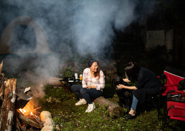 istock A family enjoying camping with their dog 1275837962