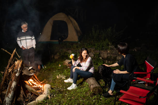 a family enjoying camping with their dog - camping tent offspring 60s imagens e fotografias de stock