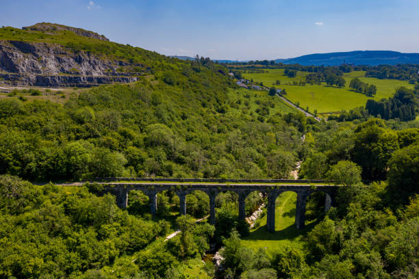 Aerial drone view of a Victorian era viaduct in a beautiful green valley (Pontsarn Viaduct, Brecon Beacons, Wales) Aerial drone view of a Victorian era viaduct in a beautiful green valley (Pontsarn Viaduct, Brecon Beacons, Wales) merthyr tydfil stock pictures, royalty-free photos & images