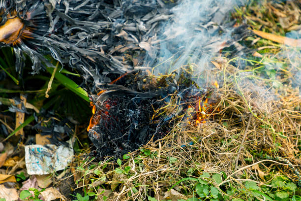 istock A large pile of burning branches and leaves with smokes 1275843358