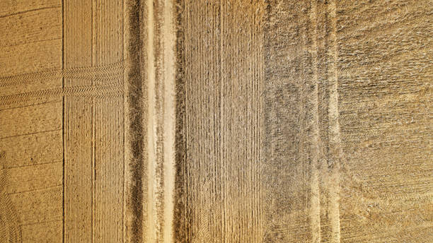 istock Agricultural fields after a very dry summer - aerial view 1275843568