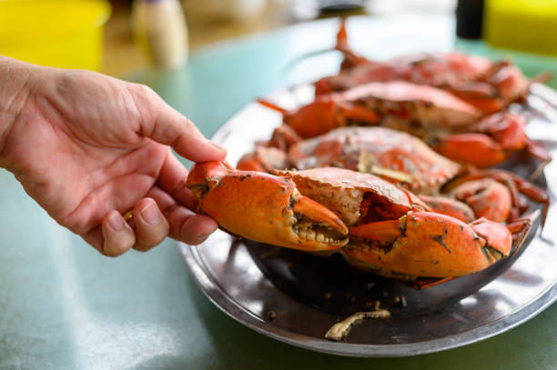 istock Live mud crabs served grilled and steamed on the tray 1275847078