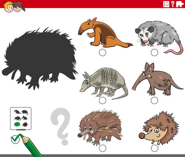 shadows task with cartoon wild animal characters Cartoon Illustration of Finding the Right Picture to the Shadow Educational Task for Children with Wild Animal Characters opossum silhouette stock illustrations