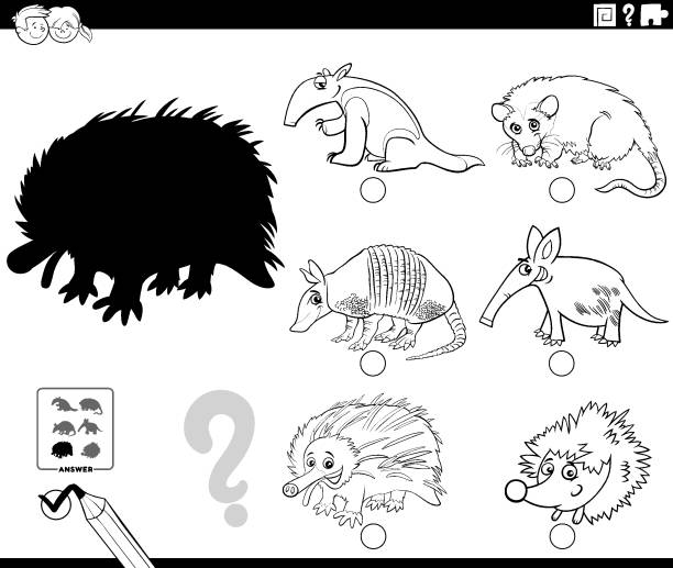 shadows game with cartoon wild animals coloring book page Black and White Cartoon Illustration of Finding the Right Picture to the Shadow Educational Task for Children with Wild Animal Characters Coloring Book Page opossum silhouette stock illustrations