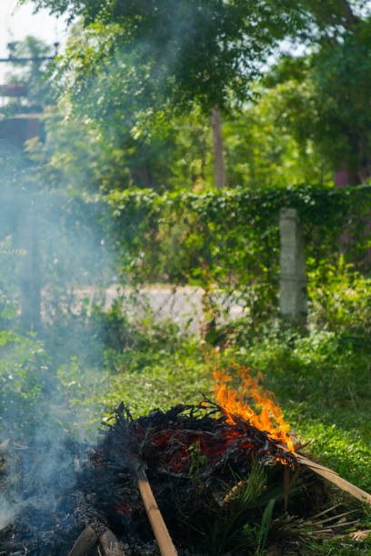 istock A large pile of burning branches and leaves with smokes 1275848654