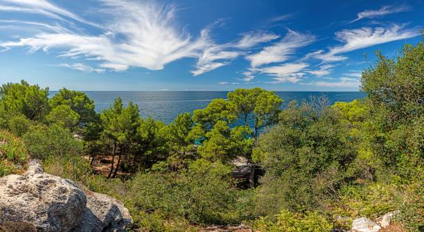 istock View over typical coast landscape of Istria in summer 1275849839