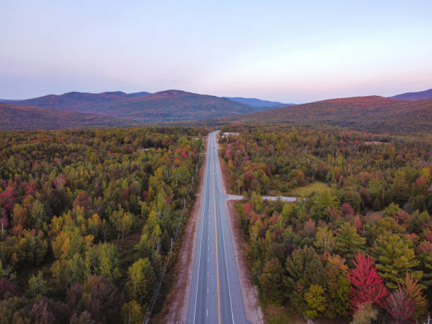 istock Drone aerial view ofautumn woodland with mountain backdrop 1275849941